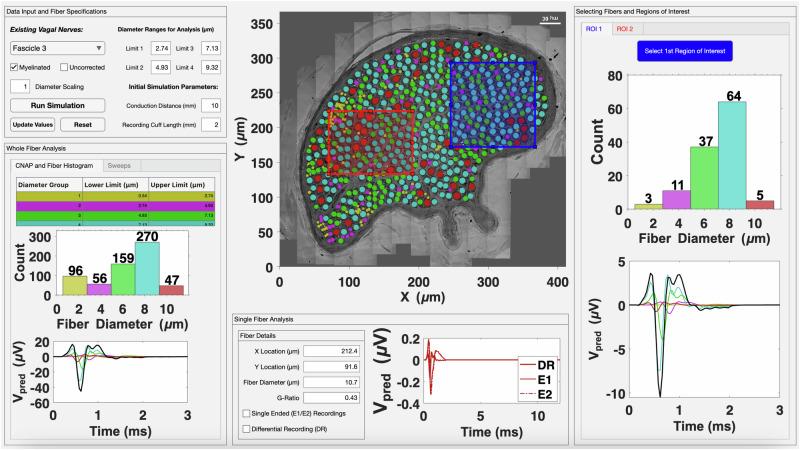 https://cdn.ncbi.nlm.nih.gov/pmc/blobs/145c/11576867/9cea78fcb2f3/42003_2024_7222_Fig5_HTML.jpg