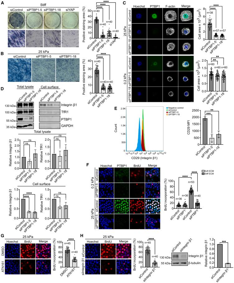 https://cdn.ncbi.nlm.nih.gov/pmc/blobs/145c/12002664/96a28949c6a4/gr4.jpg