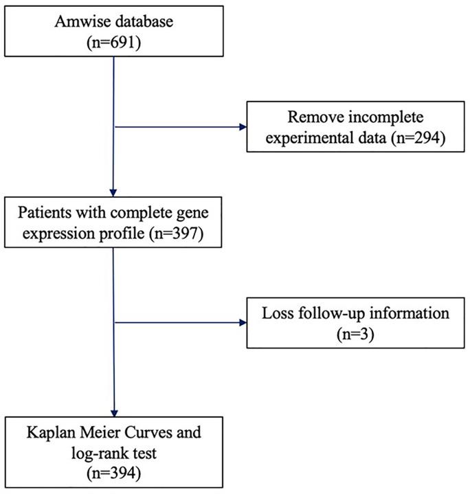 https://cdn.ncbi.nlm.nih.gov/pmc/blobs/145d/8766827/7ded8c38c46e/bsr-42-bsr20211706-g1.jpg