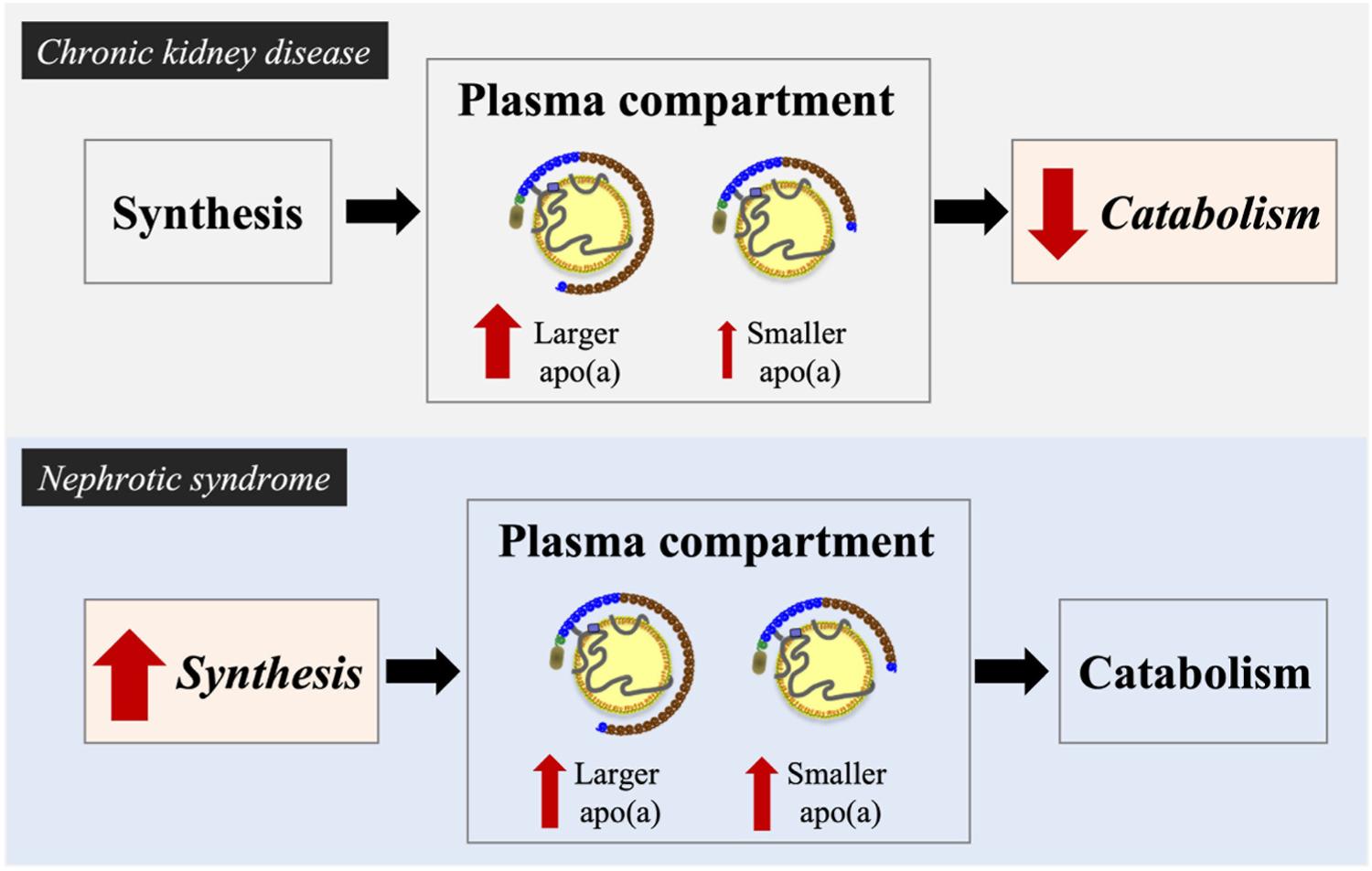 https://cdn.ncbi.nlm.nih.gov/pmc/blobs/145d/9549811/4f77a3ea5e03/nihms-1840838-f0003.jpg