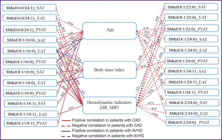 https://cdn.ncbi.nlm.nih.gov/pmc/blobs/145f/11482092/3f6a3d14f369/STM-16-1-06-f5.jpg