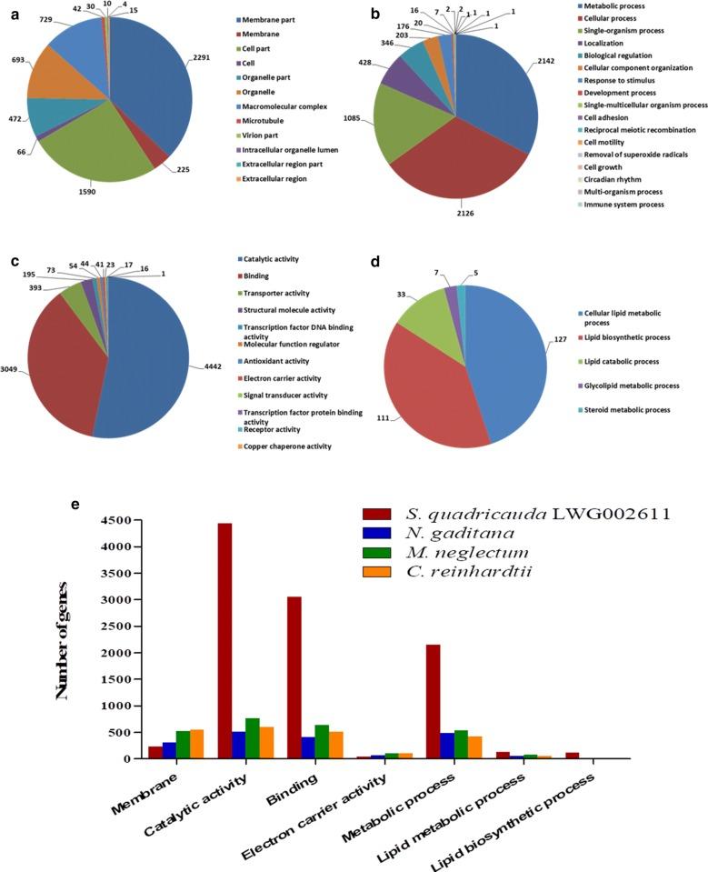 https://cdn.ncbi.nlm.nih.gov/pmc/blobs/145f/6225629/885b9a9c8353/13068_2018_1308_Fig3_HTML.jpg