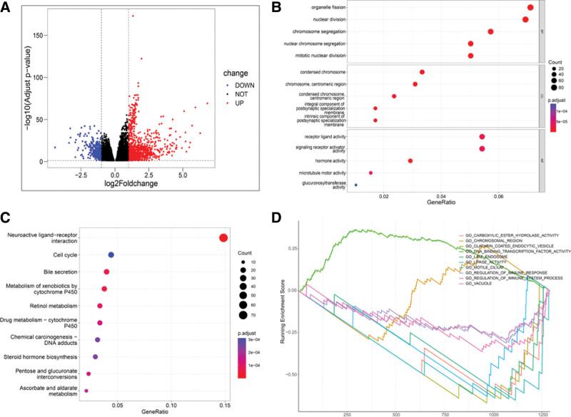 https://cdn.ncbi.nlm.nih.gov/pmc/blobs/145f/9857258/0a4685abfda6/medi-102-e32686-g003.jpg