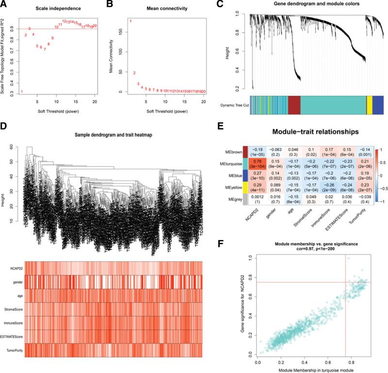 https://cdn.ncbi.nlm.nih.gov/pmc/blobs/145f/9857258/758d120344ac/medi-102-e32686-g006.jpg