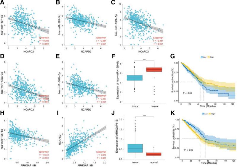 https://cdn.ncbi.nlm.nih.gov/pmc/blobs/145f/9857258/8a4ab472cb32/medi-102-e32686-g009.jpg