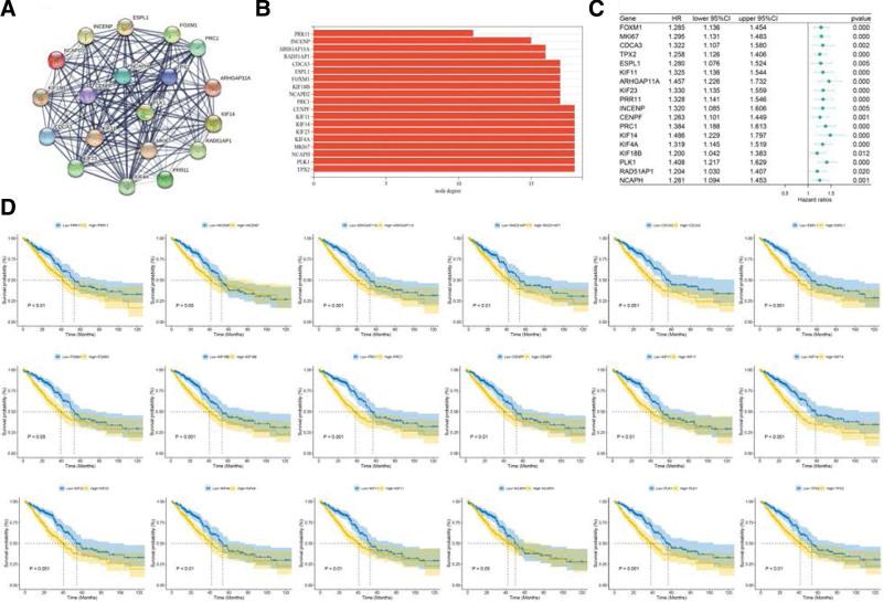 https://cdn.ncbi.nlm.nih.gov/pmc/blobs/145f/9857258/91bc602fdbd7/medi-102-e32686-g007.jpg