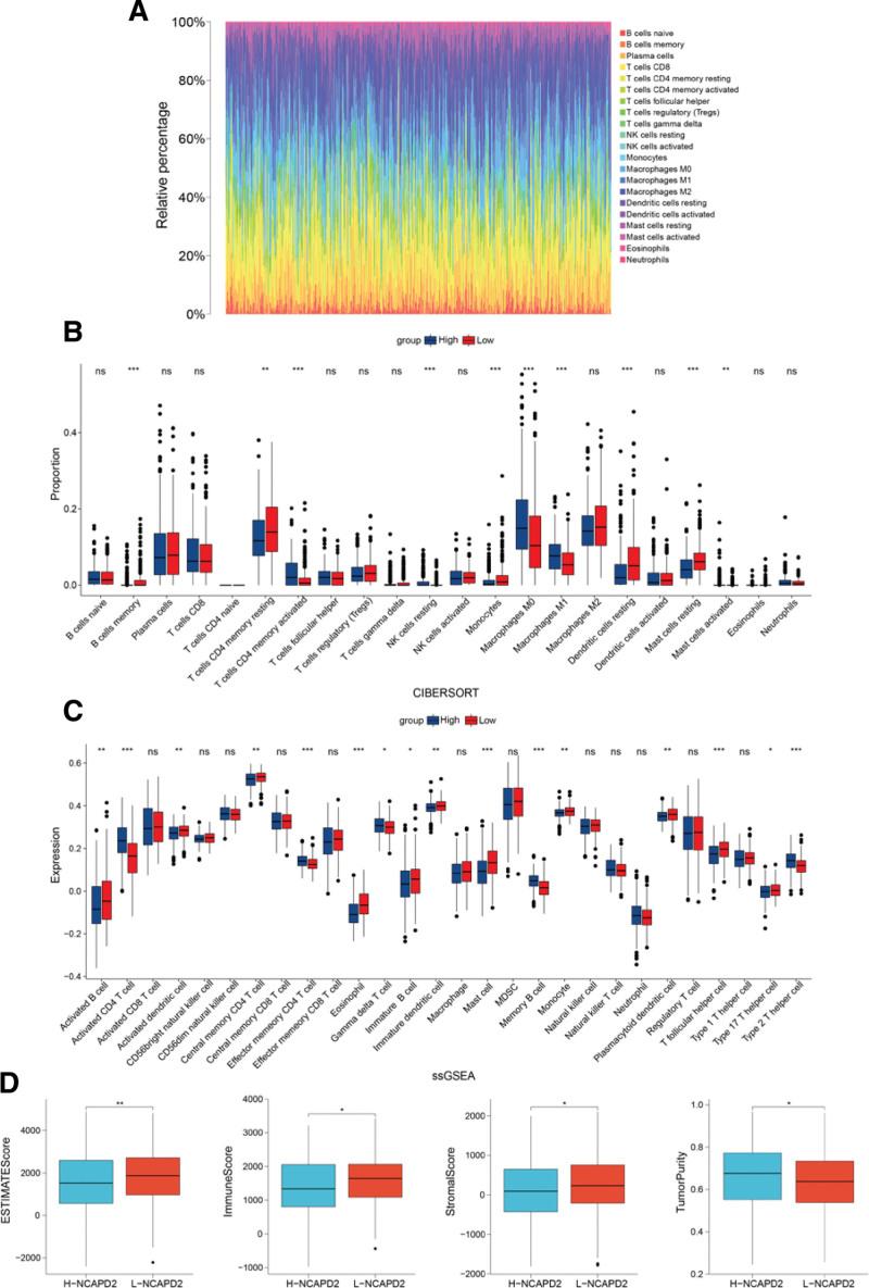 https://cdn.ncbi.nlm.nih.gov/pmc/blobs/145f/9857258/c38b393b272e/medi-102-e32686-g004.jpg