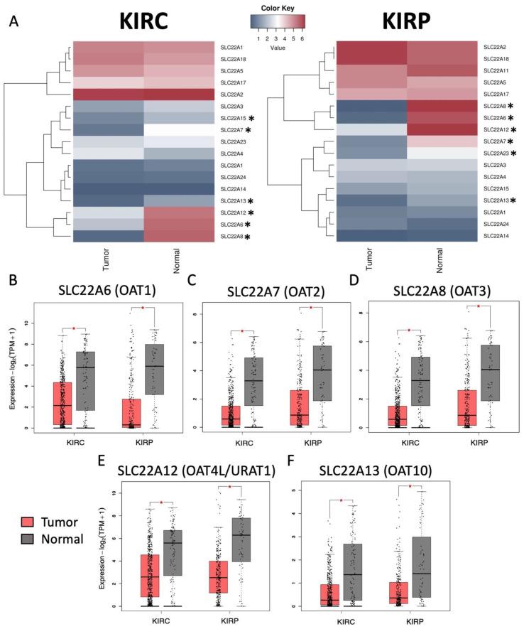 https://cdn.ncbi.nlm.nih.gov/pmc/blobs/1464/9563088/36749af22ffc/cancers-14-04772-g001.jpg