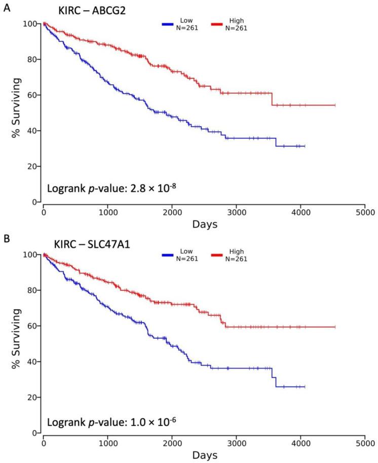 https://cdn.ncbi.nlm.nih.gov/pmc/blobs/1464/9563088/f066c1606d32/cancers-14-04772-g006.jpg
