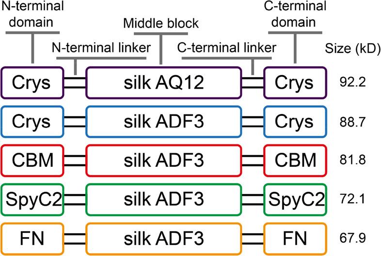 https://cdn.ncbi.nlm.nih.gov/pmc/blobs/1466/10061925/130dd47ffc57/la2c03442_0001.jpg