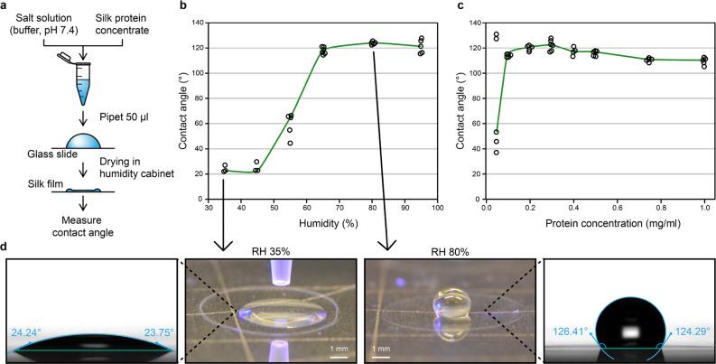 https://cdn.ncbi.nlm.nih.gov/pmc/blobs/1466/10061925/ad1f24e253e6/la2c03442_0002.jpg