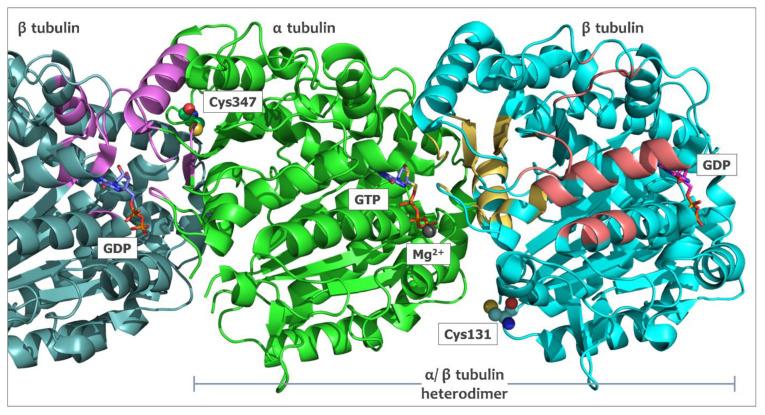 https://cdn.ncbi.nlm.nih.gov/pmc/blobs/1466/10531289/59b8a0363122/ijms-24-13674-g001.jpg