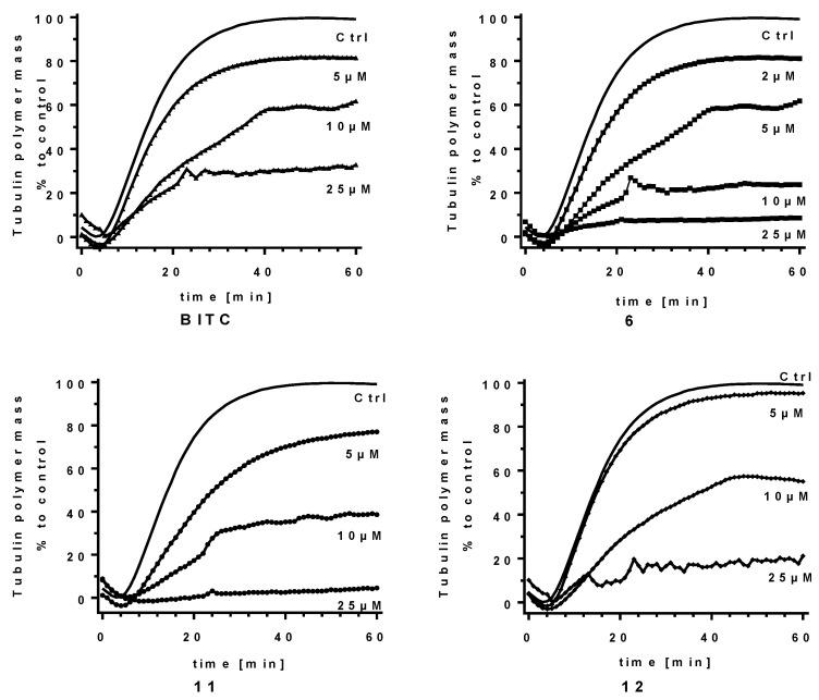 https://cdn.ncbi.nlm.nih.gov/pmc/blobs/1466/10531289/5feead006b0d/ijms-24-13674-g004.jpg