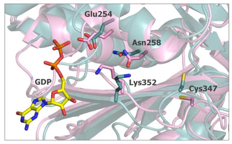 https://cdn.ncbi.nlm.nih.gov/pmc/blobs/1466/10531289/77dcc079f578/ijms-24-13674-g008.jpg