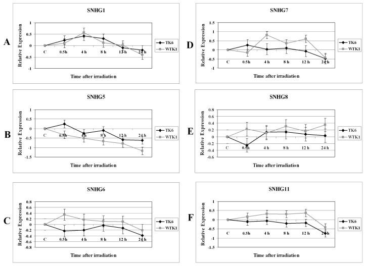 https://cdn.ncbi.nlm.nih.gov/pmc/blobs/146b/3676775/16d250000ece/ijms-14-09099f1.jpg
