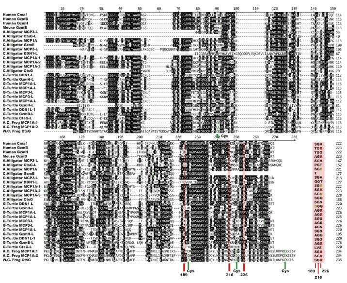 https://cdn.ncbi.nlm.nih.gov/pmc/blobs/146d/8537139/05e09189dfff/ijms-22-10975-g010.jpg