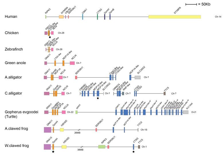 https://cdn.ncbi.nlm.nih.gov/pmc/blobs/146d/8537139/c08cfa46e7a4/ijms-22-10975-g002.jpg