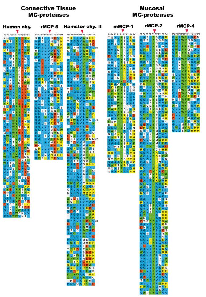 https://cdn.ncbi.nlm.nih.gov/pmc/blobs/146d/8537139/cb44d9b6814e/ijms-22-10975-g006.jpg