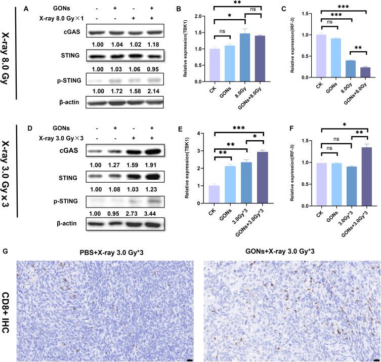 https://cdn.ncbi.nlm.nih.gov/pmc/blobs/146f/10729773/df6b36008bbf/IJN-18-7713-g0006.jpg