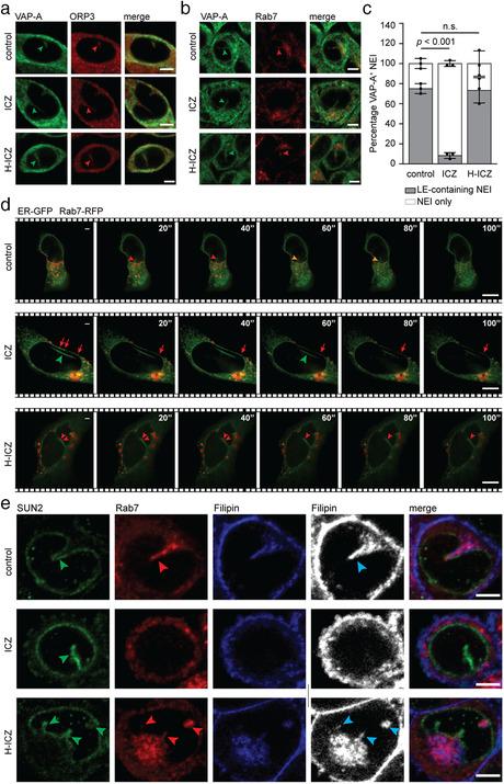 https://cdn.ncbi.nlm.nih.gov/pmc/blobs/1472/8363911/0d158e61406e/JEV2-10-e12132-g001.jpg