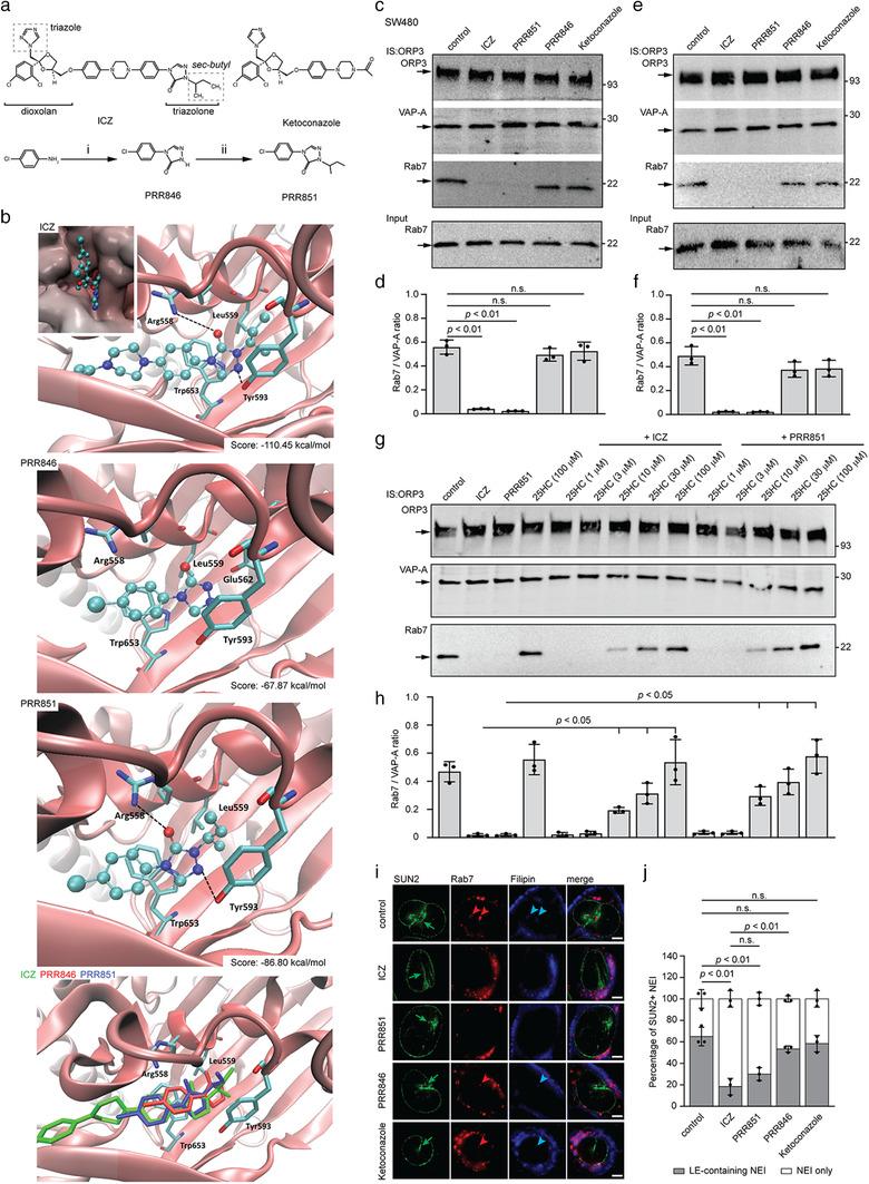 https://cdn.ncbi.nlm.nih.gov/pmc/blobs/1472/8363911/4f8e671d193a/JEV2-10-e12132-g006.jpg