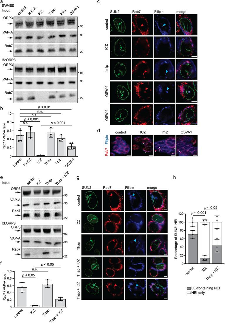 https://cdn.ncbi.nlm.nih.gov/pmc/blobs/1472/8363911/61b2f692721f/JEV2-10-e12132-g003.jpg