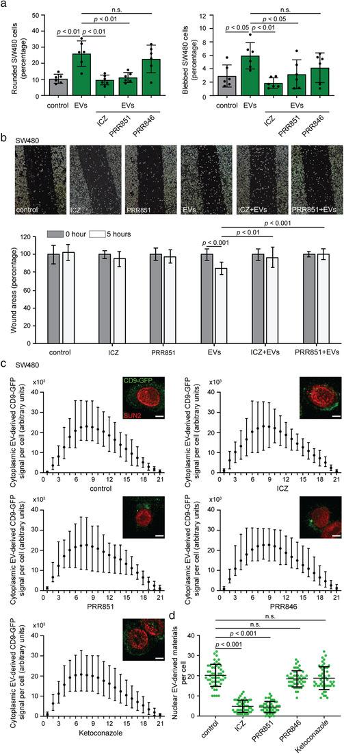 https://cdn.ncbi.nlm.nih.gov/pmc/blobs/1472/8363911/e1aeba9e626e/JEV2-10-e12132-g008.jpg