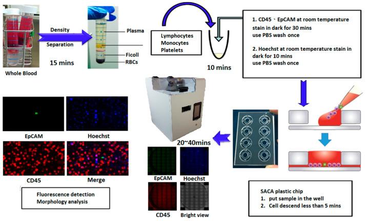https://cdn.ncbi.nlm.nih.gov/pmc/blobs/1473/8151024/ebcdfa978700/cells-10-01149-g002.jpg
