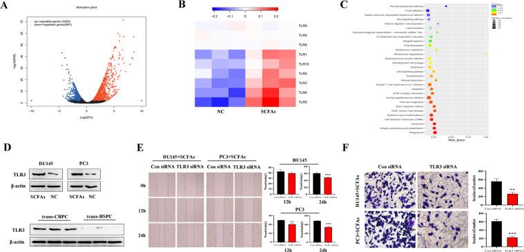 https://cdn.ncbi.nlm.nih.gov/pmc/blobs/1474/10429288/0df7613c6e5d/gr3.jpg