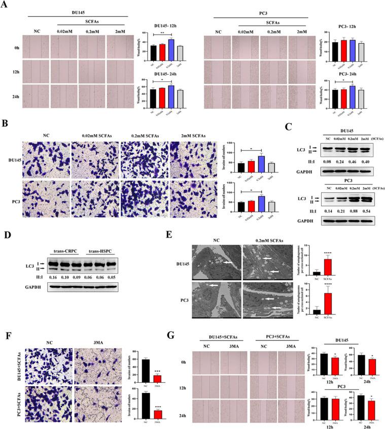 https://cdn.ncbi.nlm.nih.gov/pmc/blobs/1474/10429288/298af8b30d8f/gr2.jpg