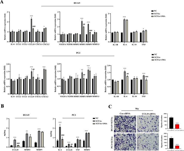 https://cdn.ncbi.nlm.nih.gov/pmc/blobs/1474/10429288/c8b52257c21c/gr5.jpg