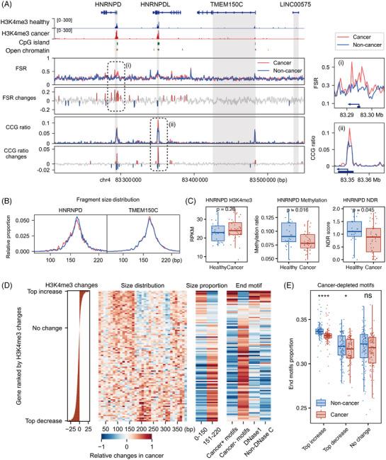 https://cdn.ncbi.nlm.nih.gov/pmc/blobs/1474/11798665/2bd024e7889c/CTM2-15-e70225-g002.jpg