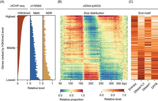 https://cdn.ncbi.nlm.nih.gov/pmc/blobs/1474/11798665/dbcb29ba01be/CTM2-15-e70225-g001.jpg