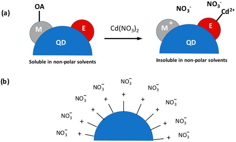 https://cdn.ncbi.nlm.nih.gov/pmc/blobs/1476/10343473/76a504c80949/nanomaterials-13-02008-g004.jpg