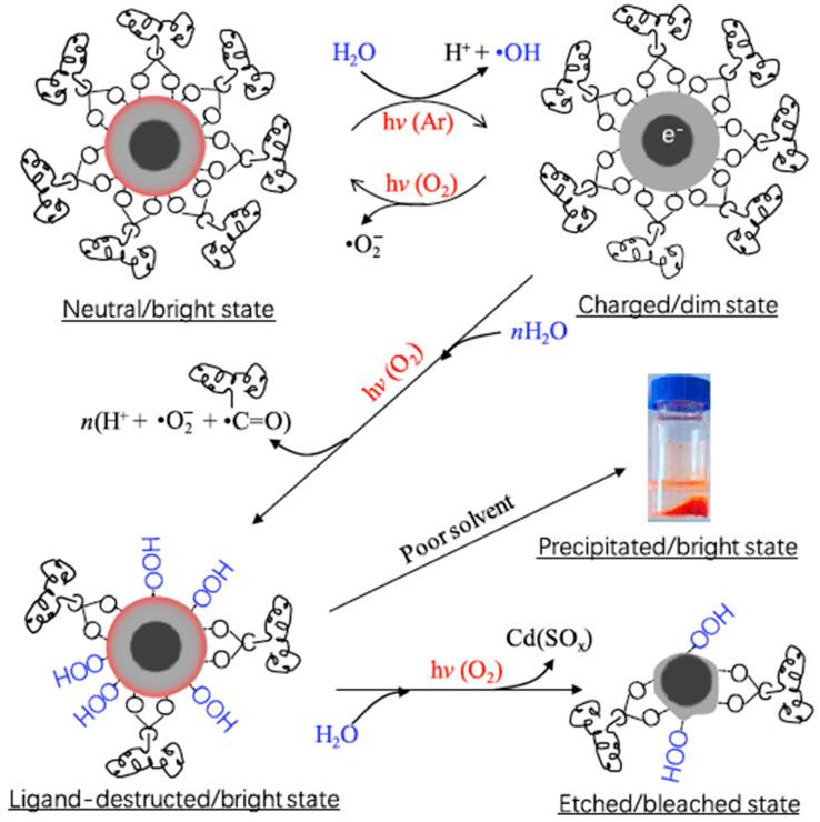 https://cdn.ncbi.nlm.nih.gov/pmc/blobs/1476/10343473/9e5cc2e0d8b8/nanomaterials-13-02008-g005.jpg