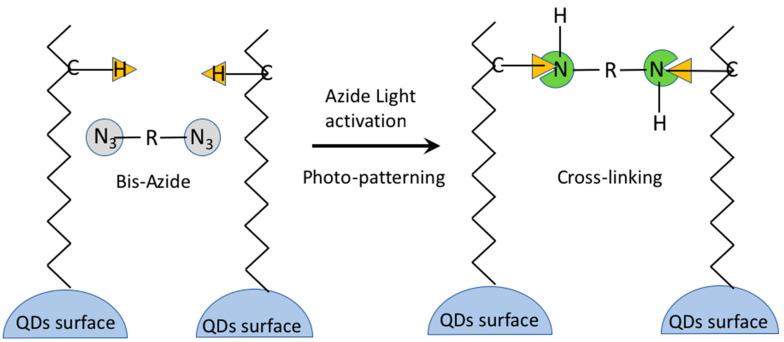 https://cdn.ncbi.nlm.nih.gov/pmc/blobs/1476/10343473/ba9bf161837a/nanomaterials-13-02008-g023.jpg