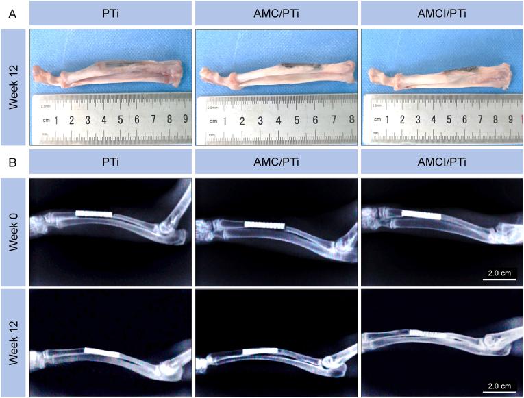 https://cdn.ncbi.nlm.nih.gov/pmc/blobs/1476/10806334/d5468ec428e8/gr6.jpg