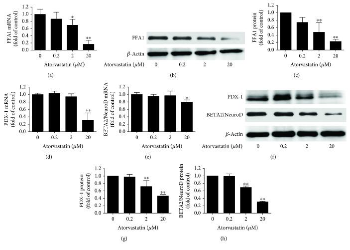 https://cdn.ncbi.nlm.nih.gov/pmc/blobs/1477/6378042/683dd71e4153/JDR2019-5245063.002.jpg