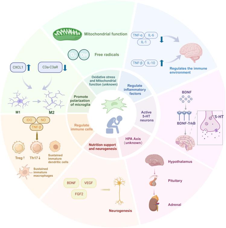https://cdn.ncbi.nlm.nih.gov/pmc/blobs/1478/11625547/61479b3ae73a/fphar-15-1476558-g001.jpg