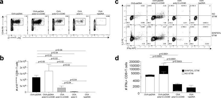 https://cdn.ncbi.nlm.nih.gov/pmc/blobs/1479/8116055/02cc1957ad8e/elife-62781-fig2.jpg
