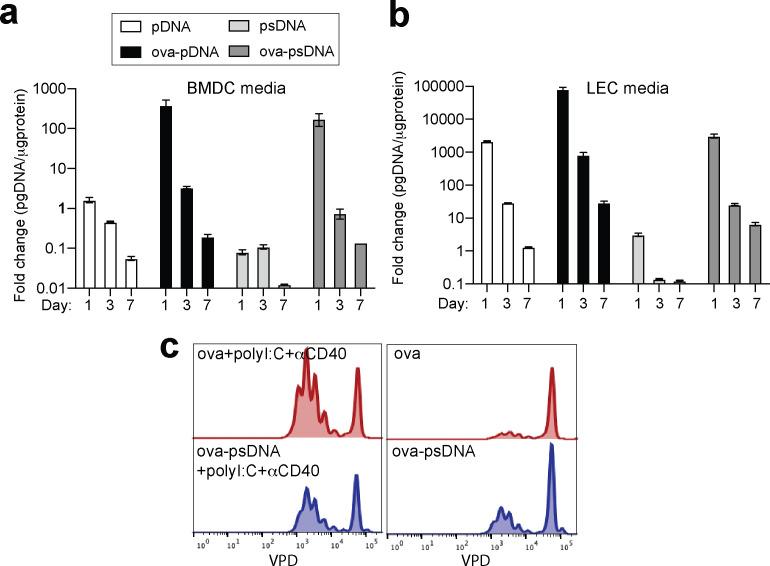 https://cdn.ncbi.nlm.nih.gov/pmc/blobs/1479/8116055/418728ae3e25/elife-62781-fig1-figsupp2.jpg