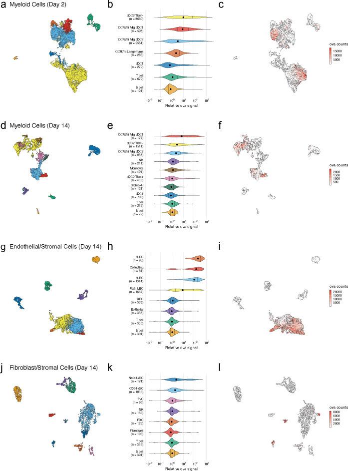 https://cdn.ncbi.nlm.nih.gov/pmc/blobs/1479/8116055/4584a078618f/elife-62781-fig3.jpg