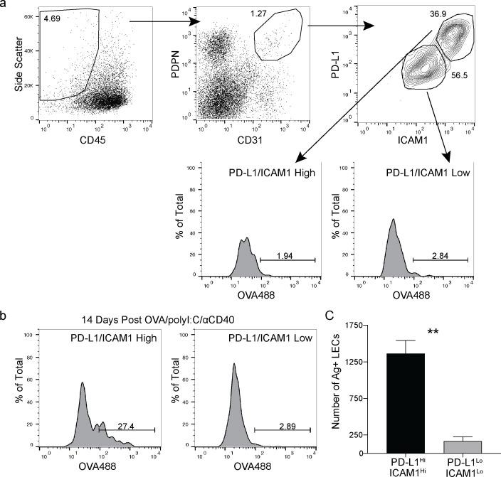 https://cdn.ncbi.nlm.nih.gov/pmc/blobs/1479/8116055/79788a51dd52/elife-62781-fig3-figsupp4.jpg