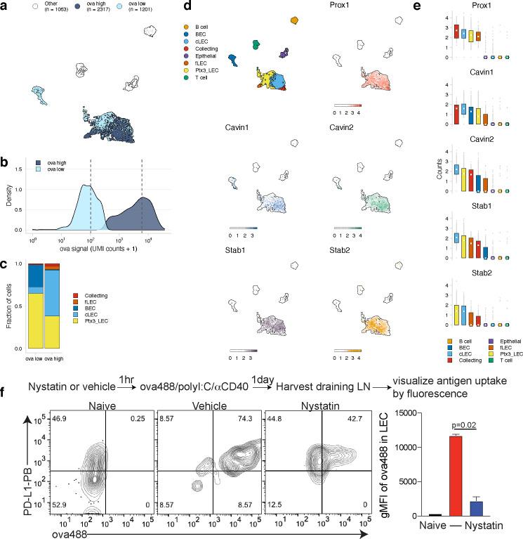 https://cdn.ncbi.nlm.nih.gov/pmc/blobs/1479/8116055/924ed3efb53e/elife-62781-fig5.jpg