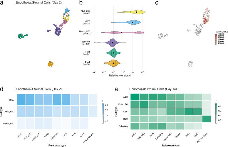 https://cdn.ncbi.nlm.nih.gov/pmc/blobs/1479/8116055/9eb146cdb9bd/elife-62781-fig3-figsupp3.jpg