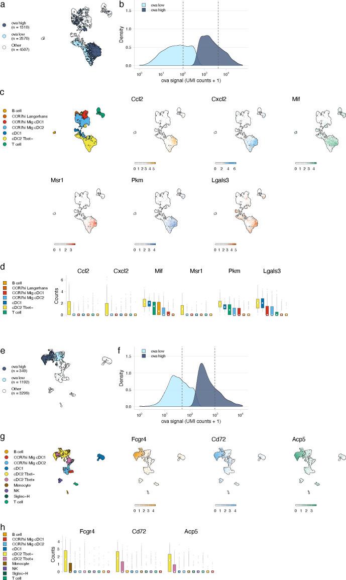https://cdn.ncbi.nlm.nih.gov/pmc/blobs/1479/8116055/b26a3bf1495e/elife-62781-fig4.jpg