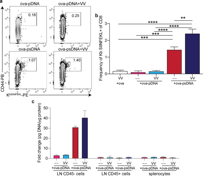 https://cdn.ncbi.nlm.nih.gov/pmc/blobs/1479/8116055/c605bef31ccc/elife-62781-fig2-figsupp2.jpg