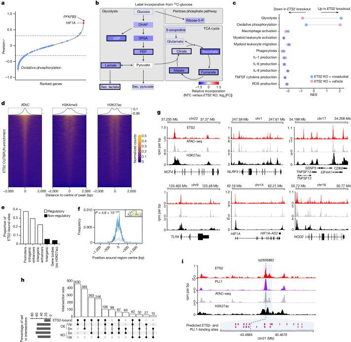 https://cdn.ncbi.nlm.nih.gov/pmc/blobs/147b/11168933/1433aabf7981/41586_2024_7501_Fig4_HTML.jpg