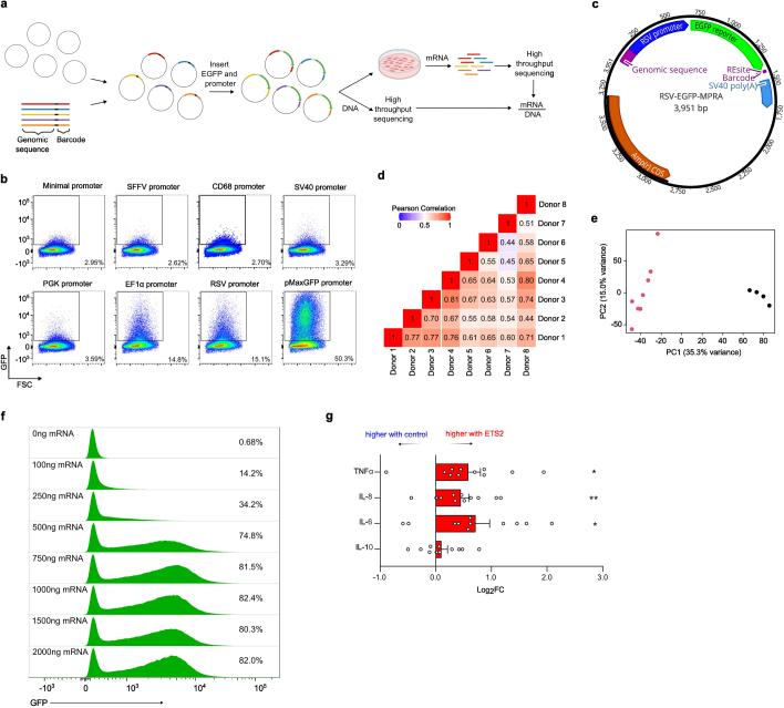 https://cdn.ncbi.nlm.nih.gov/pmc/blobs/147b/11168933/1e71e434a0c4/41586_2024_7501_Fig8_ESM.jpg