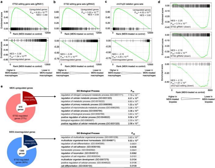https://cdn.ncbi.nlm.nih.gov/pmc/blobs/147b/11168933/26c9fb01ad2b/41586_2024_7501_Fig14_ESM.jpg